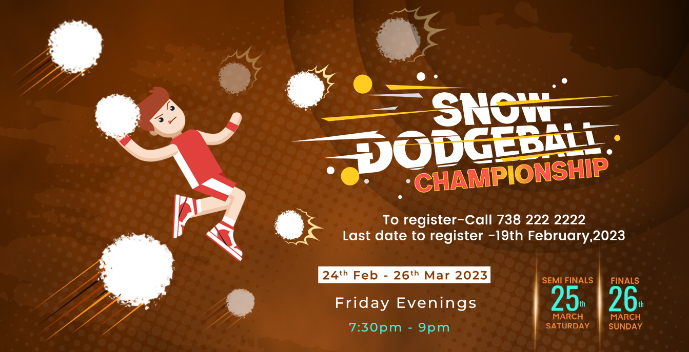 Snowkingdom Dodge Ball